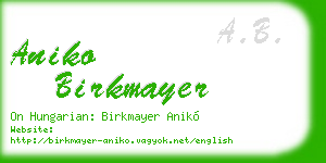 aniko birkmayer business card